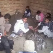 Green Seekers Activity